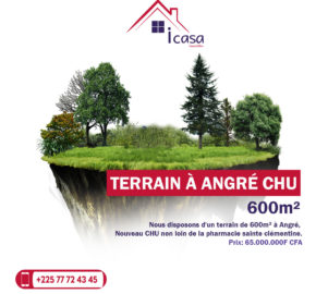 OCCASION A SAISIR – TERRAIN A ANGRE